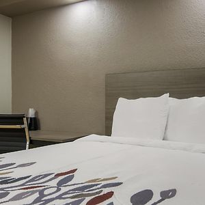 Standard Room One Full Bed Disability Access Roll Shower Non-Smoking